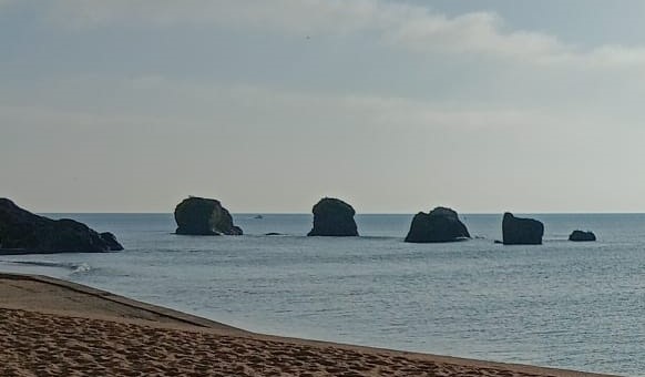 Terrain à vendre à Soullans - Terrain à bâtir à 4 minutes de la Corniche vendéenne